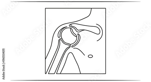 Detailed anatomical line illustration of the human shoulder joint structure showing key skeletal