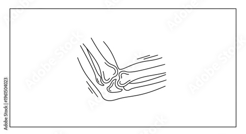 Detailed anatomical line art illustration of the human elbow joint structure demonstrating bones