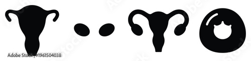 Female reproductive system icons ovaries uterus fallopian tubes and egg cell isolated on transparent background