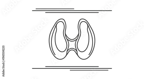 Human thyroid gland endocrine system outline icon for medical illustration and biology research