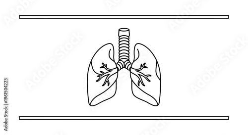 Detailed human lung and trachea respiratory system line art illustration for medical and