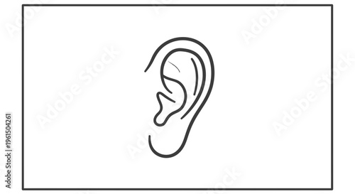 Detailed anatomical outline of a human ear, a clear minimalist vector illustration for auditory