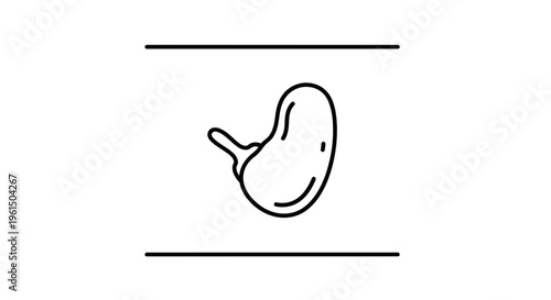 Minimalist line art icon representing internal human organ system biology and healthcare concept