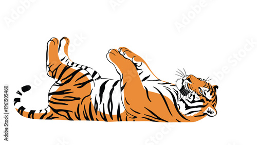 Large tiger lying on its back with its paws in the air showing its distinctive orange and black striped fur pattern.
