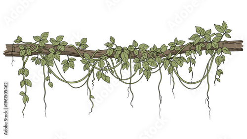 Detailed tree branch covered with green vine leaves and hanging roots illustrated in a vintage hand-drawn style on white.