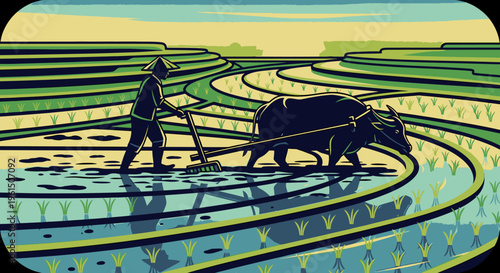 Man plowing field with oxen slowly 4.