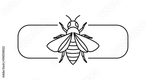 Minimalist outline illustration of a solitary honeybee centered within a sleek rounded frame