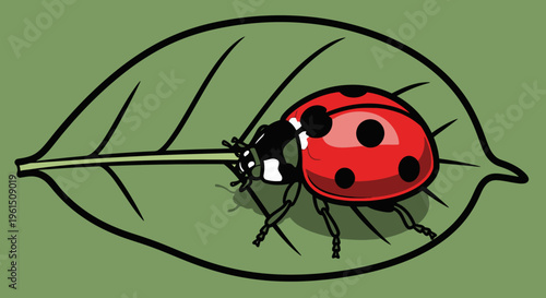 Ladybug on a green leaf side view.