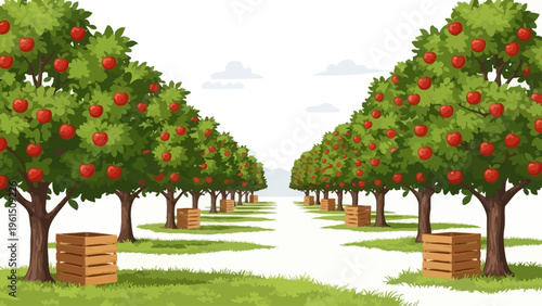 Apple Trees with Red Apples in Orchard.