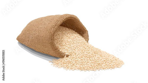rice in a sack and spilled