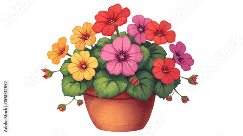 flowers in a pot