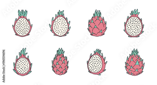 Hand drawn dragon fruit illustrations with whole and sliced views, colorful exotic fruit drawings perfect for healthy food and tropical themes