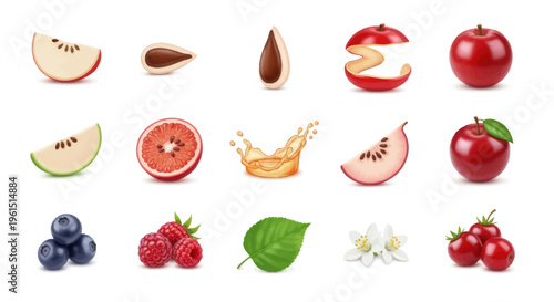Collection of fresh fruit slices, seeds, berries, leaves, and juice splash illustrated on white background, perfect for food and health designs