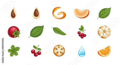 Set of hand-drawn botanical elements including seeds, leaves, berries, fruit slices, and a water droplet, perfect for natural and organic design projects