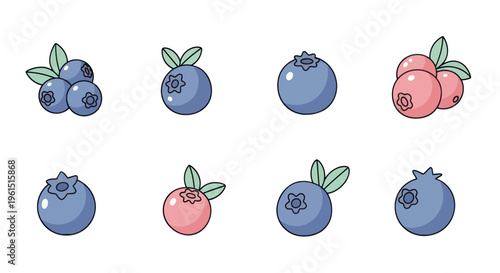 Hand-drawn blueberry and cranberry illustrations with leaves, perfect for food packaging, recipe books, and healthy lifestyle design