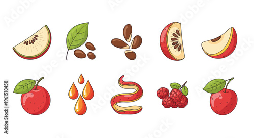 Hand drawn organic wild apple fruit slices, seeds, peel, leaves, berries and juice drops isolated on white background, healthy food illustration