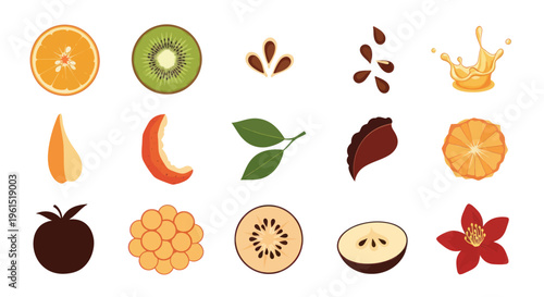 Set of colorful fruit slices, seeds, leaves, and splash illustrations for fresh and natural food design, healthy eating and organic product graphics