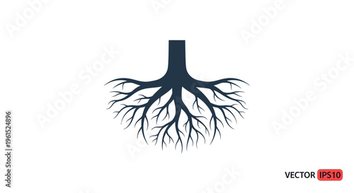 Human Lung Bronchial Tree Anatomy.