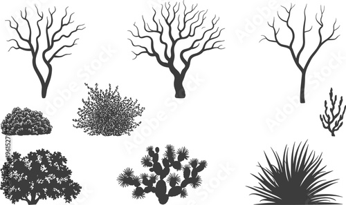Black silhouette trees bushes cactus desert plants collection isolated botanical elements dry landscape shrubs foliage set flat vector illustration
