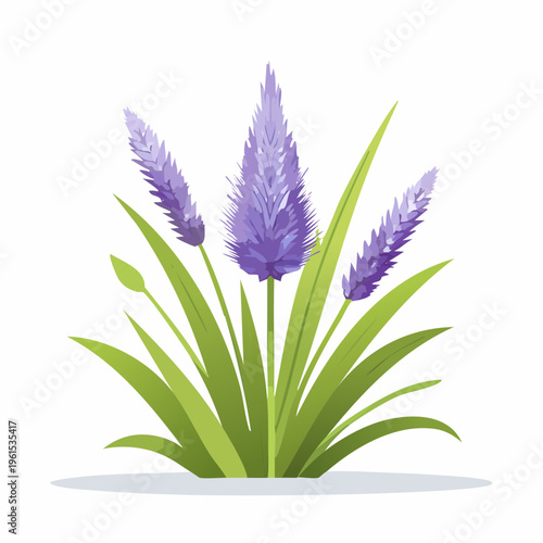 Purple flowering plant with green leaves