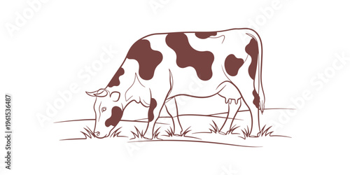 Minimal line drawing of a peaceful cow with large spots grazing in a wide field setting.