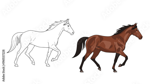 Illustration showing a side by side comparison of a horse as a simple line drawing and a fully colored brown horse.