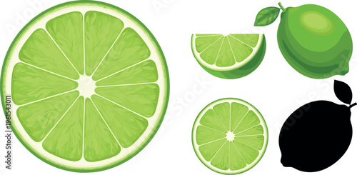 Lime Vector Set Featuring Whole Fruit, Slices, and Citrus Cross Section Illustration for Fresh Food, Beverage, and Tropical Design