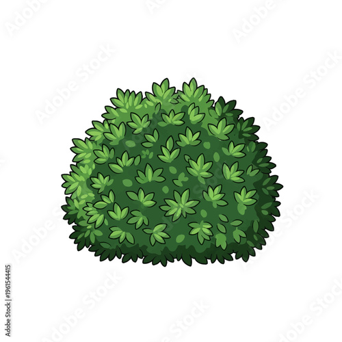 Illustrated green shrub bush with dense foliage and pointed leaves, isolated on a white background. Hand-drawn style vector clip art for garden landscape or outdoor environment design.