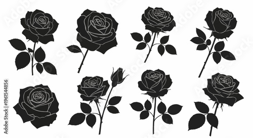 Collection of black rose silhouettes with white outlines and stems. Set of detailed floral illustrations showing roses in full bloom and rosebuds isolated on white background.