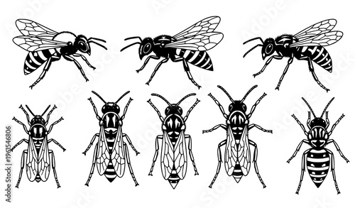 Black and white doodle insects vector set bees wasps hand drawn sketch outline illustration
