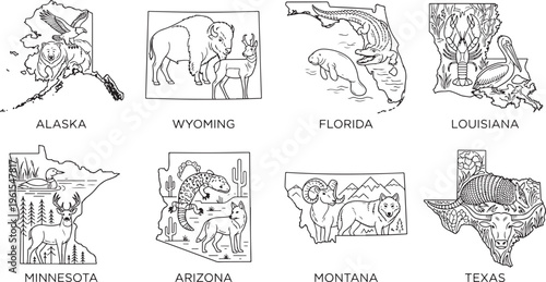 Hand-Drawn Line Art US State Wildlife Maps Concept