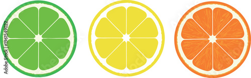 Citrus Slice Vector Set Featuring Lime, Lemon, and Orange Cross Sections with Fresh Juicy Segments for Food and Beverage Design