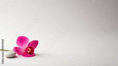 Single vibrant magenta orchid bloom rests beside a smooth white pebble on a light background