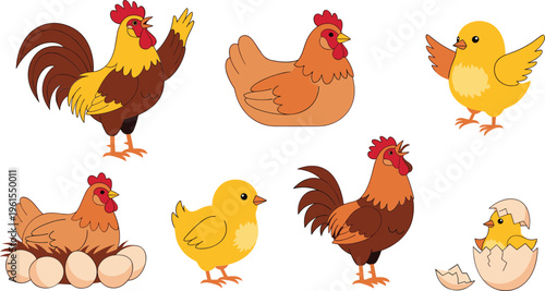 Chicken and rooster vector illustration set including hen chick eggs and hatching scenes for farm poultry and agriculture design