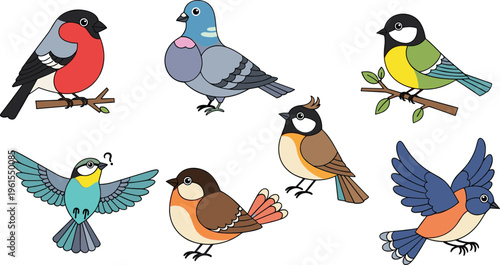 Colorful bird vector illustration set featuring sparrow pigeon robin tit and flying songbirds for nature wildlife and ornithology design