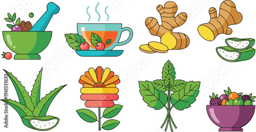 Herbal medicine and natural remedies collection with plants, ginger, aloe and mint, organic wellness vector illustration set isolated