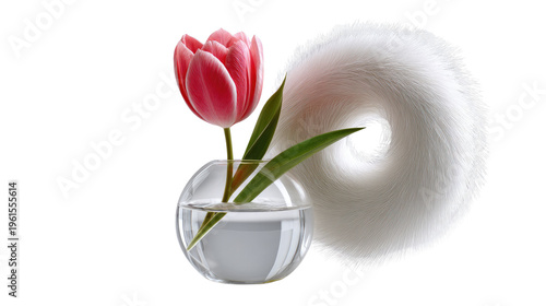 Floral Elegance: A striking pink tulip in a clear glass vase sits gracefully alongside a soft, round, white decorative element, exuding a sense of delicate beauty and freshness.