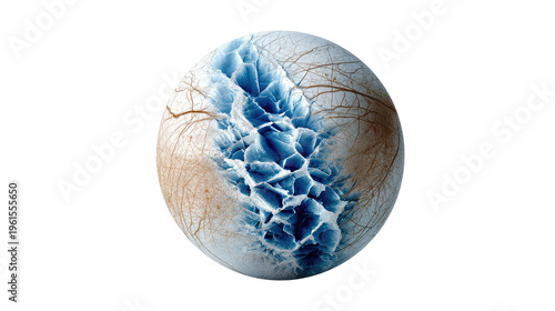 Celestial Marvel: A captivating image unveils a cosmic sphere, showcasing a mesmerizing blend of textures, hues, and forms that spark intrigue and awe. 