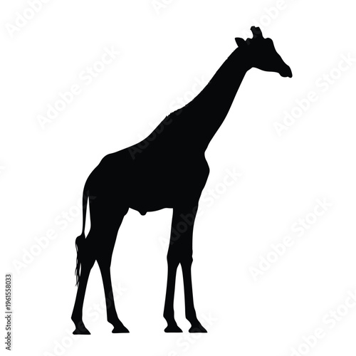 Black giraffe silhouette standing sideways with a long neck against a white background vector illustration.