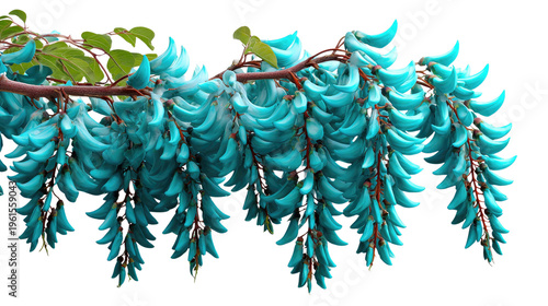 Exotic Turquoise Flowers: A close-up shot of a unique turquoise-colored flower, cascading from a slender stem, showcasing its beauty. 