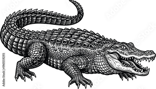 crocodile illustration detailed, alligator wildlife engraving, reptile predator design, dangerous animal art, jungle creature graphic, black white vector, cad drawing flat vector illustration