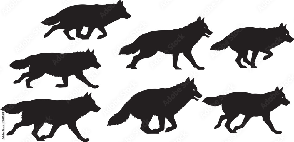 Fototapeta premium Seven black fox silhouettes walking in different positions together