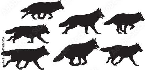 Seven black fox silhouettes walking in different positions together