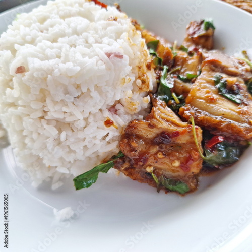 Thai spicy stir fried crispy pork with holy basil served with rice