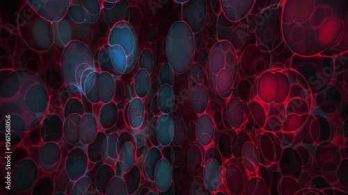 Microscopic cells in a petri dish.