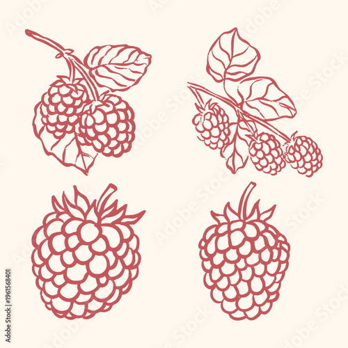 illustration set of ripe raspberries