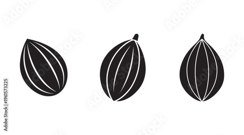 Blackandwhite illustrations of cacao pods in different orientations on white background  simple vector graphics