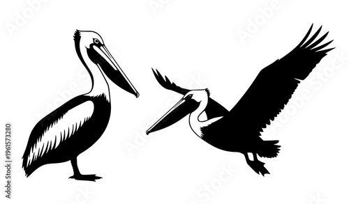 Pelican silhouette vector set with standing and flying birds isolated on white background