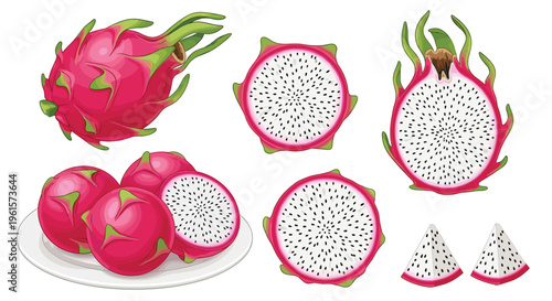 Fresh dragon fruit vector set with whole pitaya half cut slices and wedges on white plate isolated on white background