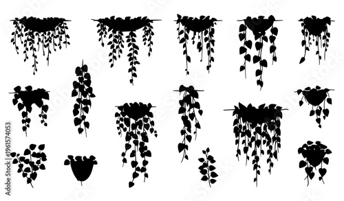 Scattered creeper plant and climbing vine foliage vector set with summer greenery isolated on white background